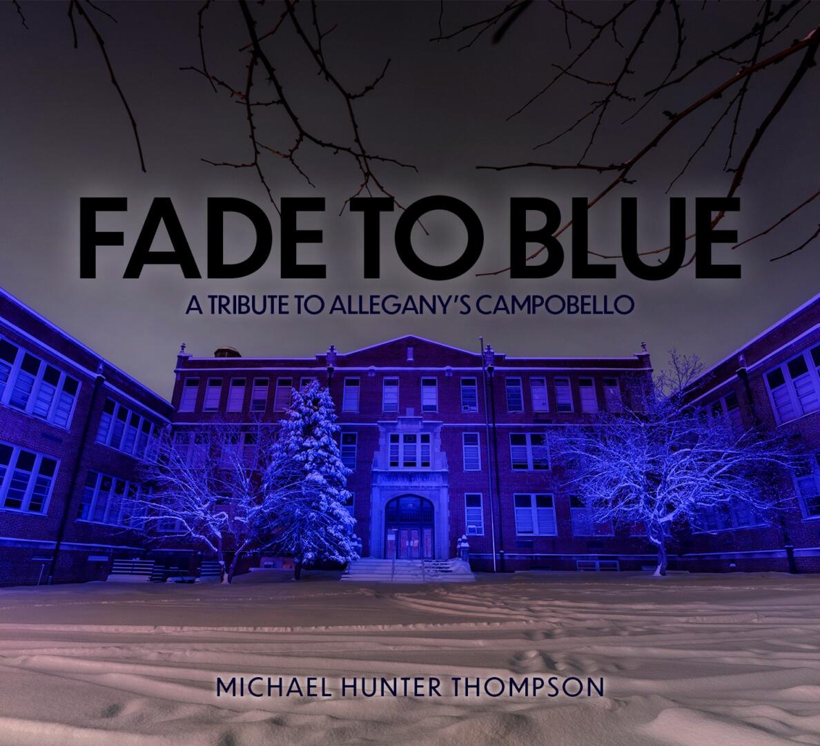 A blue and white photo of the front cover of fade to blue.